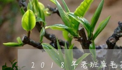 2018年老班章毛茶/2023092438069