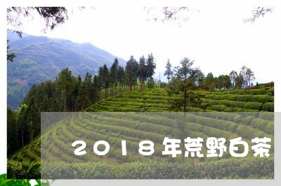 2018年荒野白茶/2023071398269