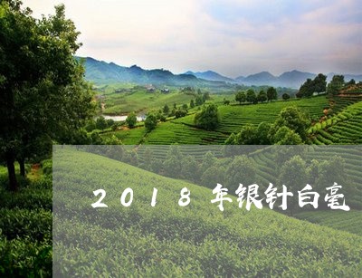 2018年银针白毫/2023120671594