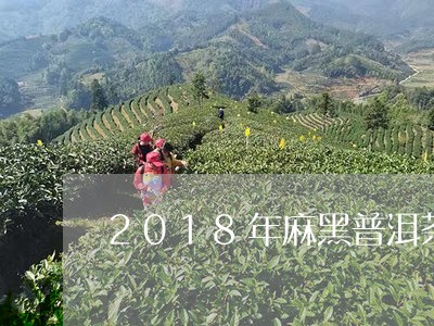 2018年麻黑普洱茶价格表/2023052834049