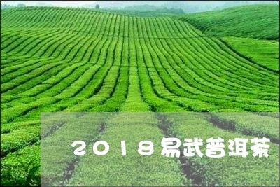 2018易武普洱茶/2023070903147