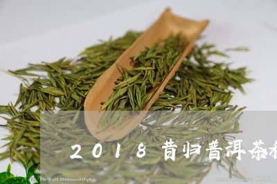 2018昔归普洱茶私人珍藏/2023110238359