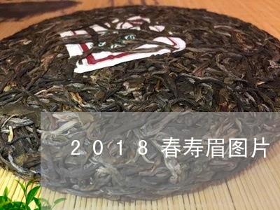 2018春寿眉图片/2023121536049