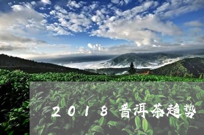 2018普洱茶趋势/2023070994936