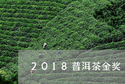 2018普洱茶金奖/2023091402916