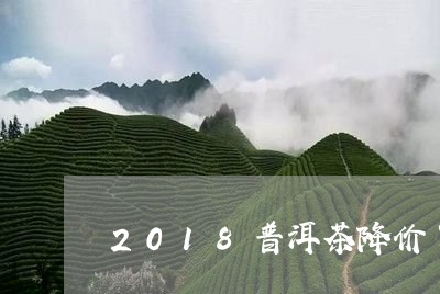 2018普洱茶降价了/2023062874926