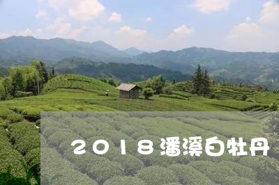 2018潘溪白牡丹/2023120572037