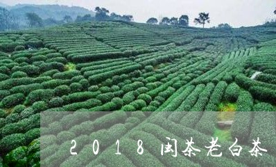 2018闽茶老白茶/2023071317168