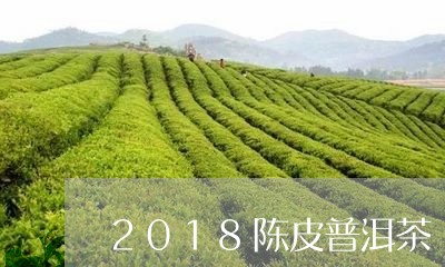 2018陈皮普洱茶/2023070937373