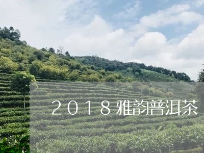 2018雅韵普洱茶/2023091481502