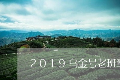 2019乌金号老班章/2023092438514