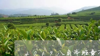 2019八角亭班章有机茶评测/2023053112937