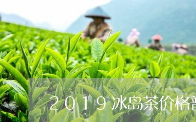 2019冰岛茶价格普洱茶冰岛茶王/2023060374937