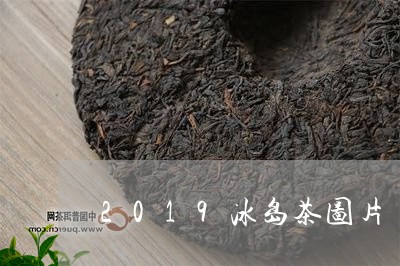 2019冰岛茶图片/2023042508151