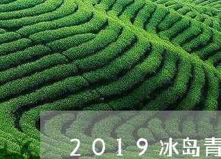 2019冰岛青茶价格/2023092406030