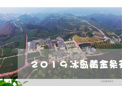 2019冰岛黄金条茶/2023061296147