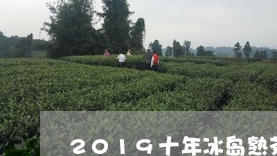 2019十年冰岛熟茶/2023061289726