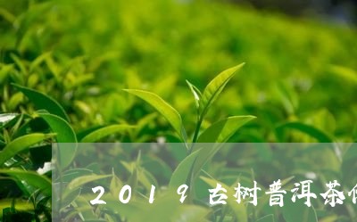 2019古树普洱茶价格及图片/2023110448383