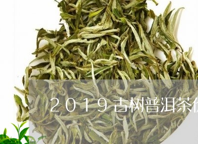 2019古树普洱茶价格多少/2023082875825