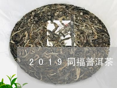 2019同福普洱茶/2023112707260