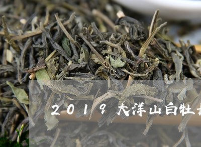 2019大洋山白牡丹/2023091714925