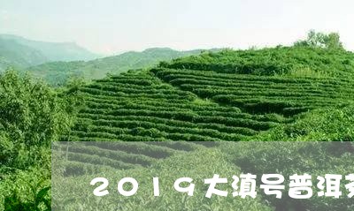 2019大滇号普洱茶/2023080168682