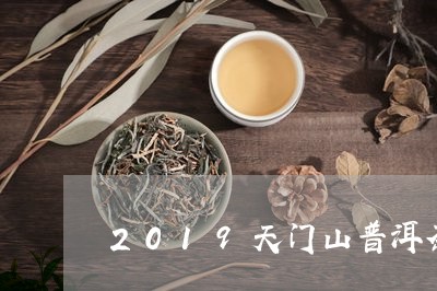 2019天门山普洱茶/2023062808503