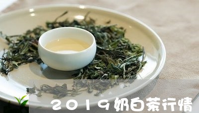 2019奶白茶行情/2023121557159