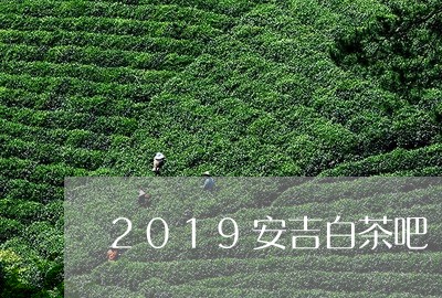 2019安吉白茶吧/2023121592040