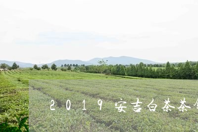 2019安吉白茶茶饼/2023092726148