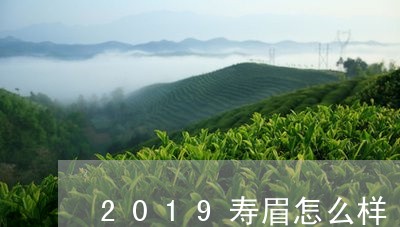 2019寿眉怎么样/2023120584047