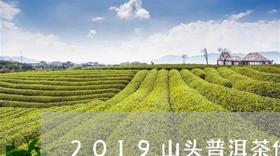 2019山头普洱茶价格表/2023110225059