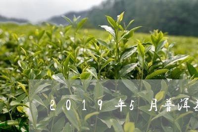 2019年5月普洱茶/2023062841826