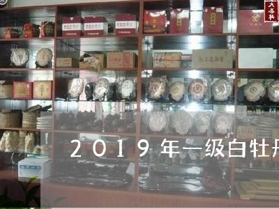 2019年一级白牡丹/2023120953826