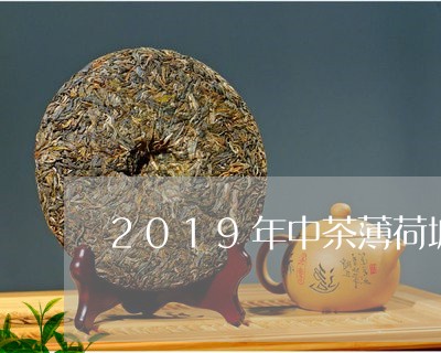 2019年中茶薄荷塘/2023071525060