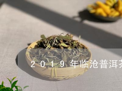 2019年临沧普洱茶/2023100835940