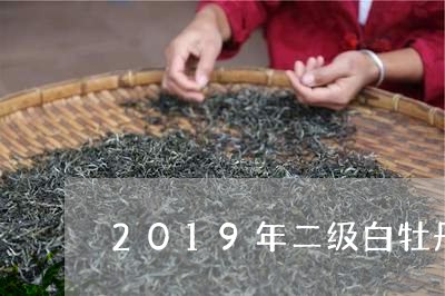 2019年二级白牡丹/2023120916260