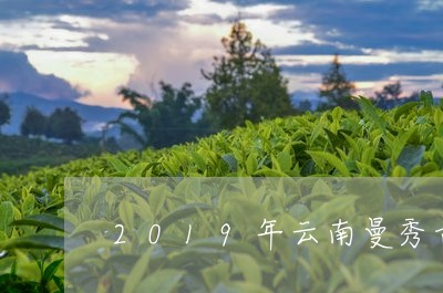 2019年云南曼秀古树茶/2023051269614