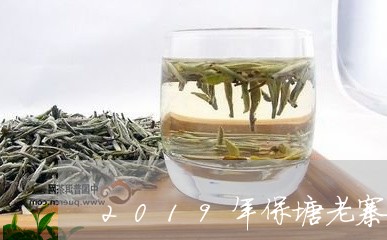 2019年保塘老寨普洱茶生茶/2023102551401