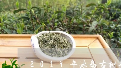 2019年冰岛古树茶价格提高/2023053191583