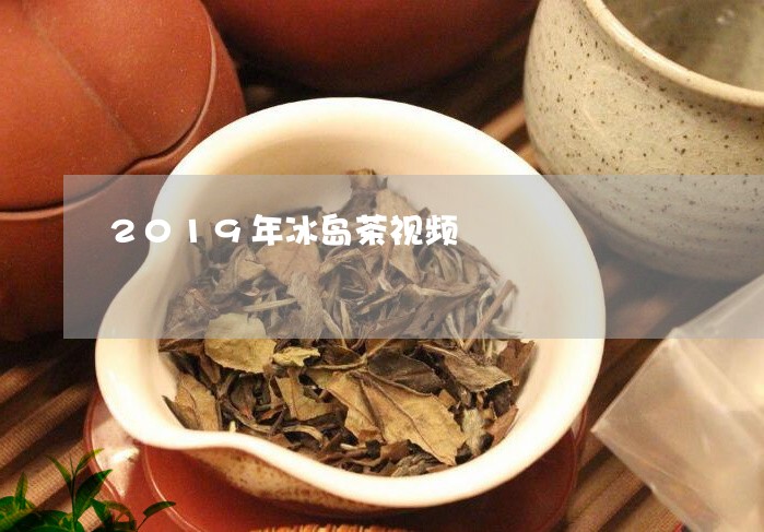 2019年冰岛茶视频/2023092340371