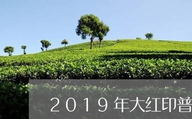 2019年大红印普洱茶价格/2023052774826