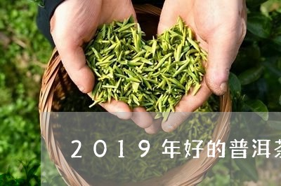 2019年好的普洱茶/2023080105928