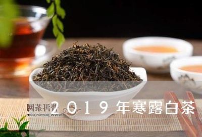 2019年寒露白茶/2023071386249