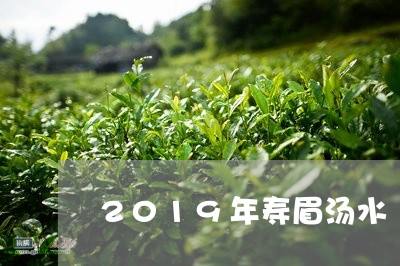 2019年寿眉汤水/2023120535159