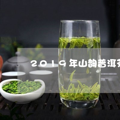 2019年山韵普洱茶/2023100781693