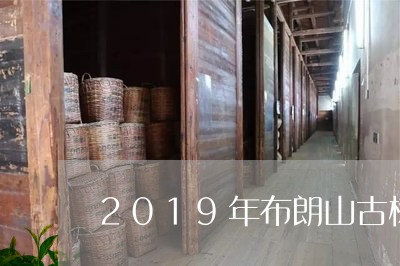 2019年布朗山古树/2023092248462