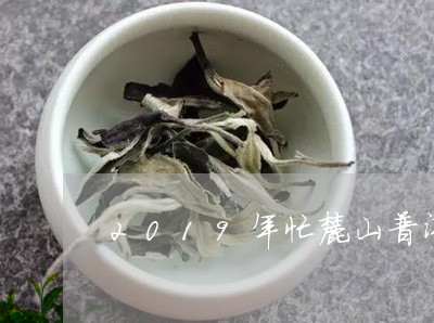 2019年忙麓山普洱茶/2023102440592