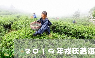 2019年戎氏普洱茶/2023100803048