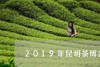 2019年昆明茶博会/2023060996040